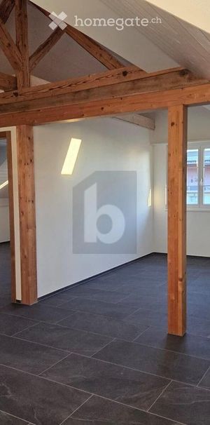 NEU, HISTORISCH, GROSSER GARTEN ZUR MITBENUTZUNG - Photo 1