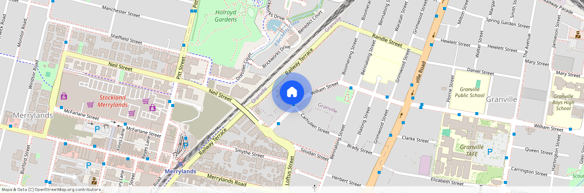 4/217-219 William Street, NSW 2142, Granville