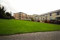 The Walk, Carrickmines, Dublin 18, D18TY49 - Photo 4