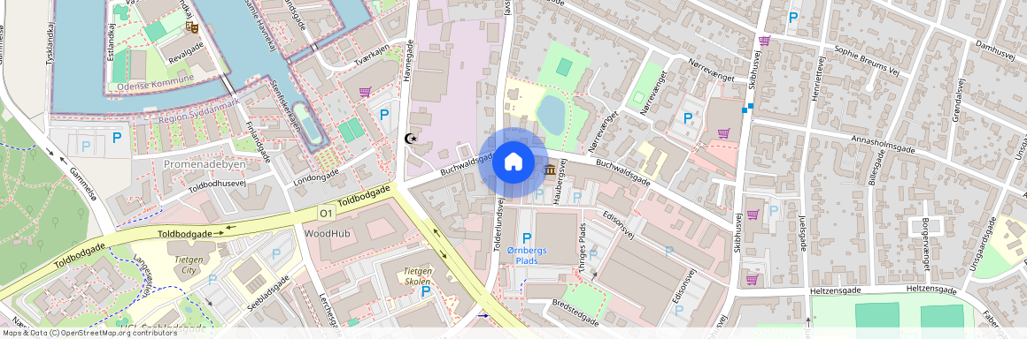 Tolderlundsvej 19B st., 5000 Odense C