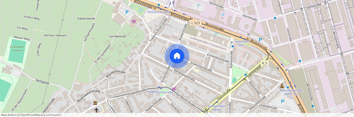 Eckermannstraße 61, 67063 Ludwigshafen am Rhein