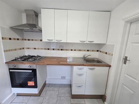 Halefield Road, London N17 - Photo 3