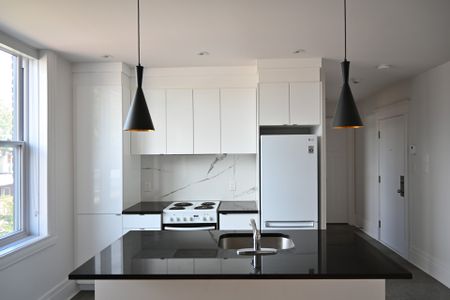 Appartement à louer, Montréal (Ville-Marie) - Photo 5