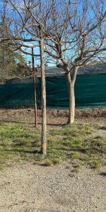 Location appartement 2 pièces 27 m² à Beaulieu (07460) - Photo 3