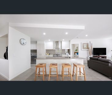 16 Livingstone Street, Tewantin, Qld 4565 - Photo 3