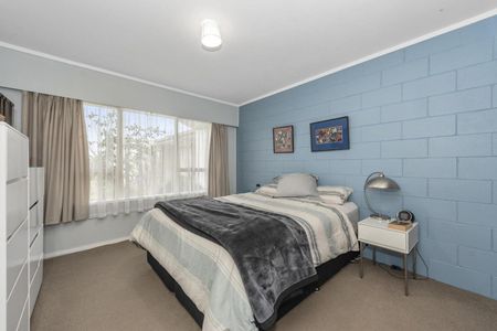 Charming Two Bedroom Unit - Photo 2