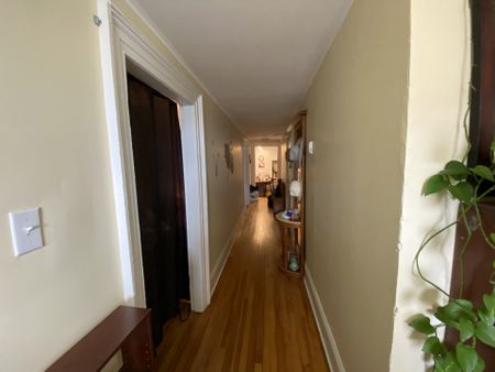 54 Elliott Row- U2 - Photo 5