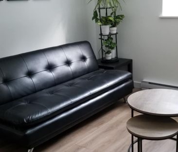 Bright 1-Bedroom (3.5) – 2 min to Sherbrooke Metro, 10 min to McGil... - Photo 2