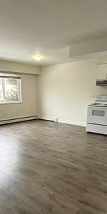 Generous 1 Bed 1Bath on Kingsway!!! - Photo 4