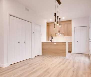 521 rue Michel-Lemay Trois-Rivières - Photo 5