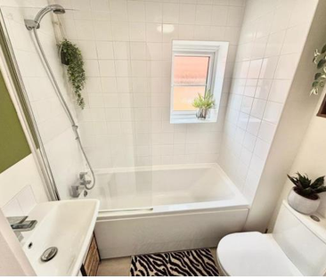 Collier Chase - Photo 6