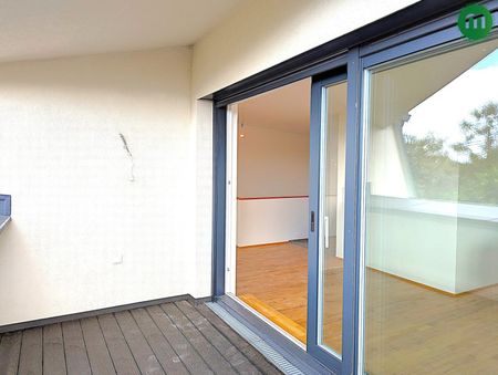 DG Traum – Erstbezug am Naherholungsgebiet Lobau - Photo 2