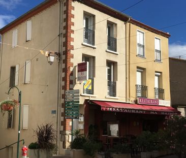 Location Appartement 1 pièce 18m² SOREDE 66690 - Photo 4