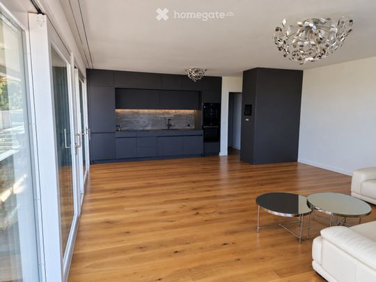 Stunning lake & mountain views modern apartment in Horgen - Foto 1