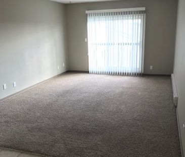 Mono Court – 1 Bedroom - Photo 1