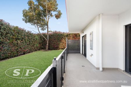 Luxurious, Modern And Huge Courtyard - Photo 5