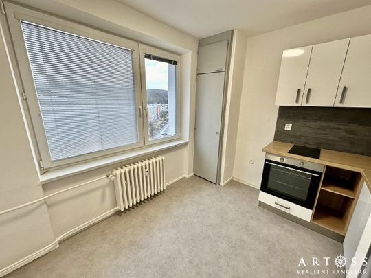 Pronájem bytu 1+1 36 m² - Photo 1