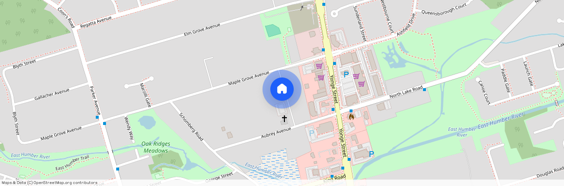 14 Persica Street Unit# Basement, Richmond Hill