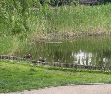 Wynajmę 2-pokojowe na Kabatach z garażem - Фото 6