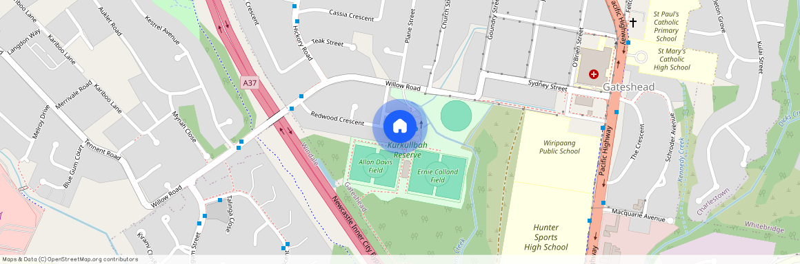 14 Redwood Place, Gateshead NSW 2290