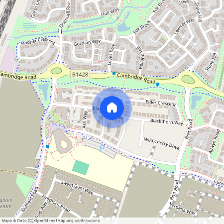 Blackthorn Way, Winteringham, St Neots, PE19