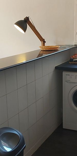 LOCATION TROIS PIECES MEUBLEE - Photo 1