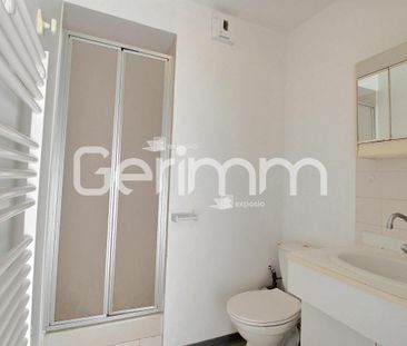 Location Appartement 1 pièce 16m² GRENOBLE 38000 - Photo 3