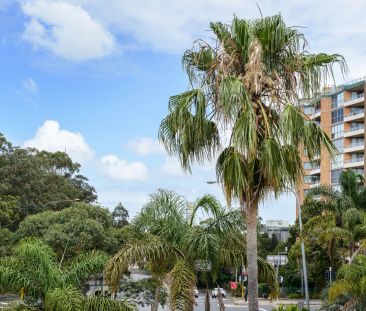 Modern Studio Apartment in The Heart of Lane Cove - Photo 2