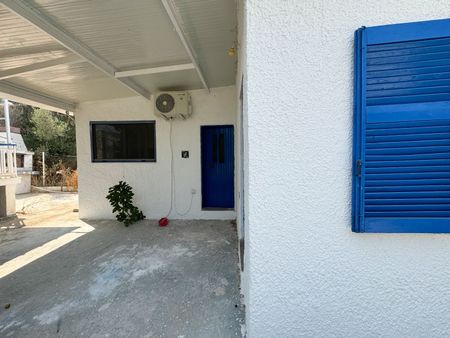 Μονοκατοικία για ενοικίαση Παραλία Μαρκόπουλου Ωρωπού (Μαρκόπουλο Ωρωπού) - Photo 4