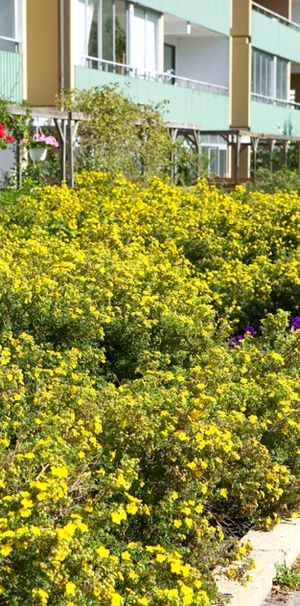 Delsjögatan 12, Bellevuegården - Foto 1