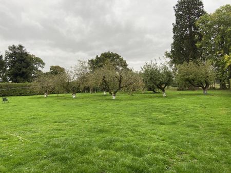 3 bedroom house to rent - Photo 2