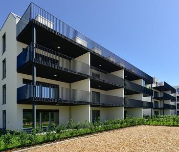 2.5 Zimmer, 56 m², 3. Stock - Photo 2