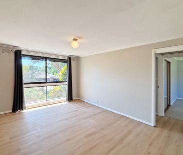 Quiet Location - Photo 3