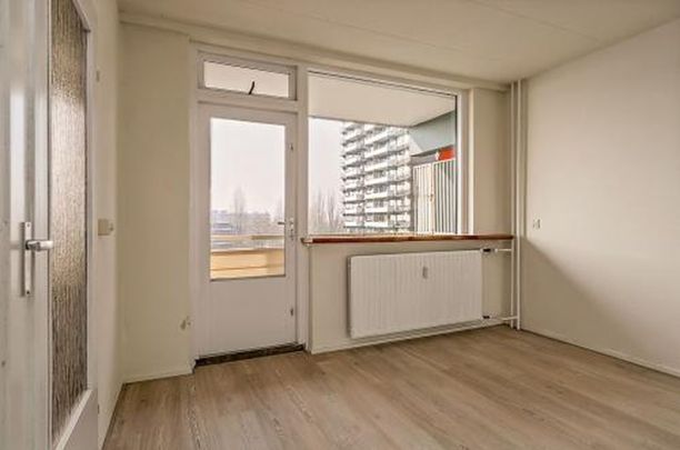 Groenhof 1186 DL Amstelveen - Photo 1