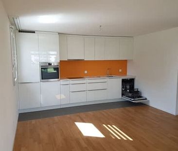 2.5 Zimmer, 57 m², EG - Foto 3