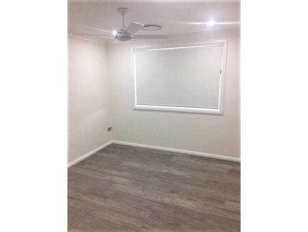 Near new designer home- (OPEN HOUSE: SATURDAY 2:30-2:45PM) - Photo 3