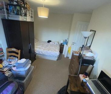 28 Hampton Grove, Belfast, BT7 3DG - Photo 5