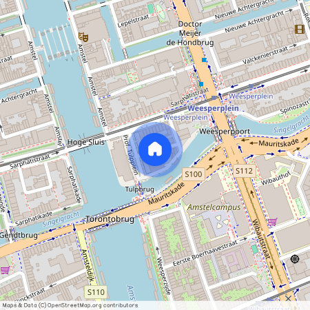 Prof. Tulpplein, 12, Amsterdam