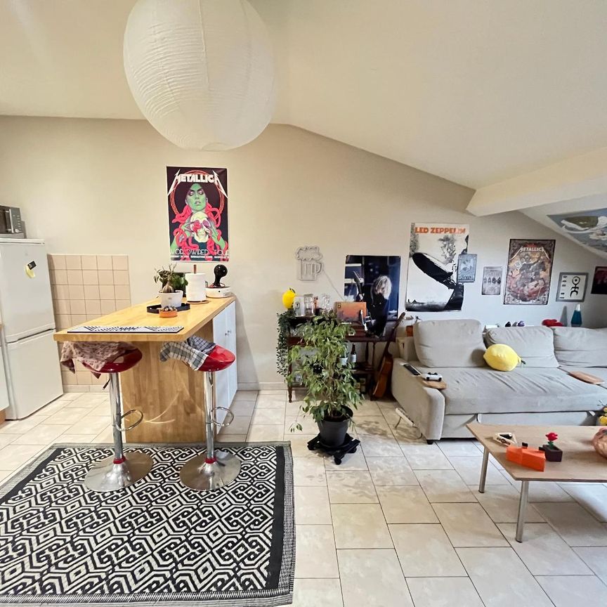 Location Appartement 3 pièces 53m² ALBI 81000 - Photo 1