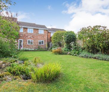 3 bedroom semi-detached house to rent - Photo 6