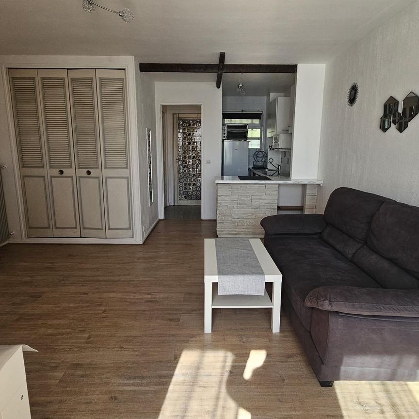 Location Appartement 1 pièce 30m² ST LAURENT DU VAR 06700 - Photo 1