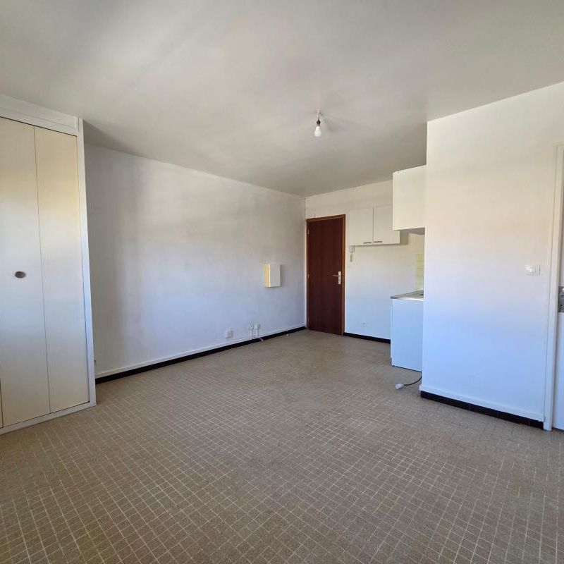 Location Appartement 1 pièce 21m² LA VILLE DU BOIS 91620 - Photo 1