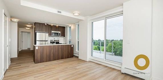 Spacious 2 Bed 2 Bath on Cambie St Near Oakridge!!! - Photo 2