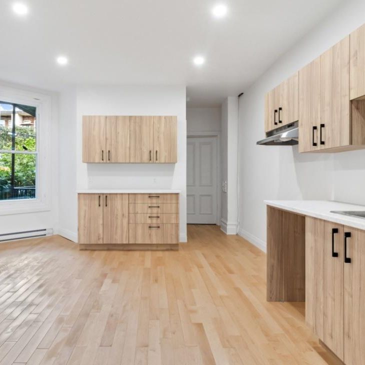 Appartement à louer - Montréal (Ville-Marie) (Centre) - Photo 1