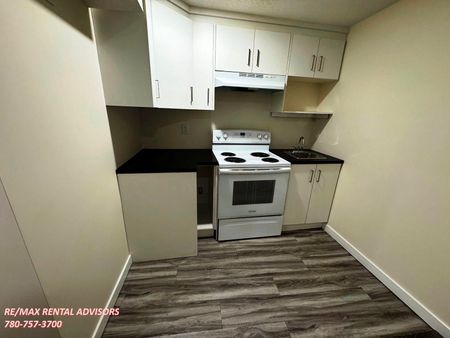 BSMT 148 Castlegreen Close Northeast - Photo 4