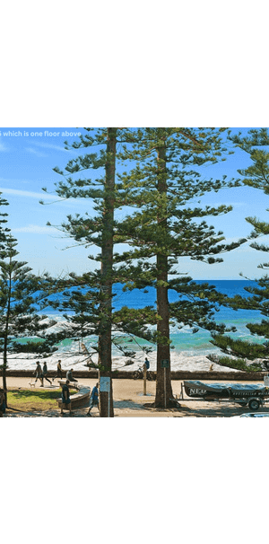 Executive Beachfront 3 Bedroom Apartment Opposite Manly Beach - Photo 2
