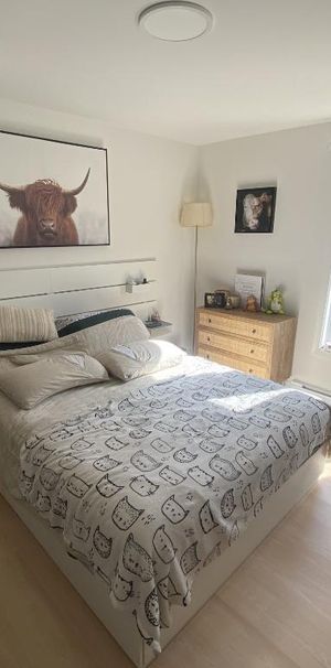 4 1/2 RÉNOVÉ avec électros, WiFi, Stationnement, Terrasse INCLUS - Photo 1