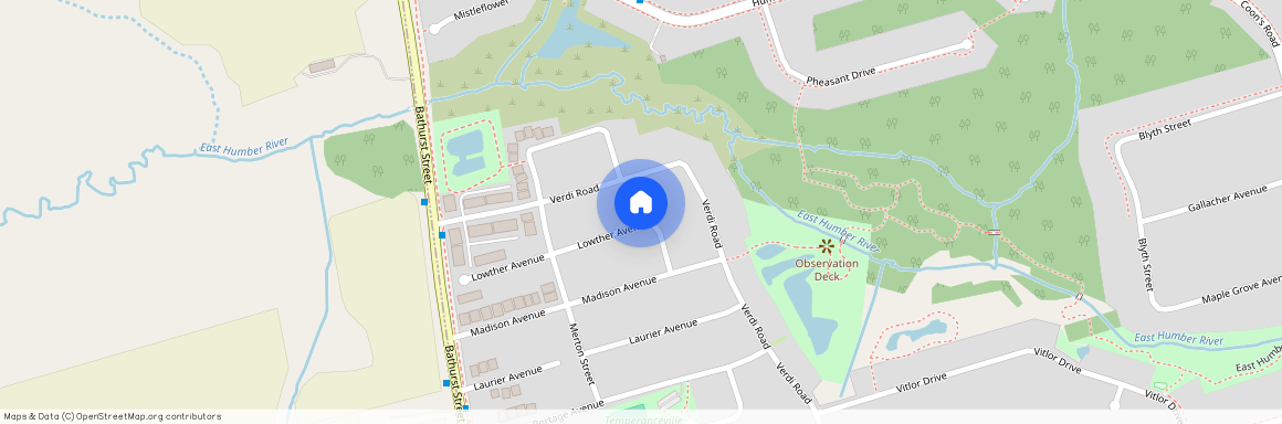 98 Lowther Upper Avenue, Richmond Hill