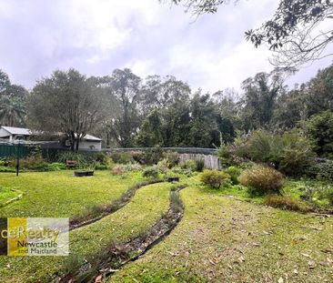 37 Long Crescent, Shortland, NSW 2307 - Photo 6