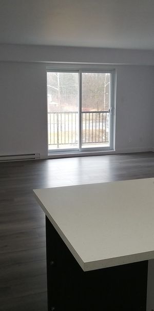 **5 ½** 20435, Boul. Henri-Bourassa - Photo 1